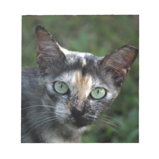 Grijze bruine kat met groene ogen notitieblok (Voorkant)