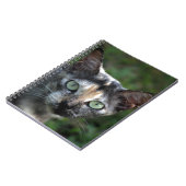 Grijze bruine kat met groene ogen notitieboek (Linkerzijde)