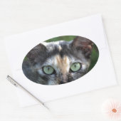 Grijze bruine kat met groene ogen ovale sticker (Envelop)