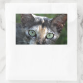 Grijze bruine kat met groene ogen rechthoekige sticker (Tas)