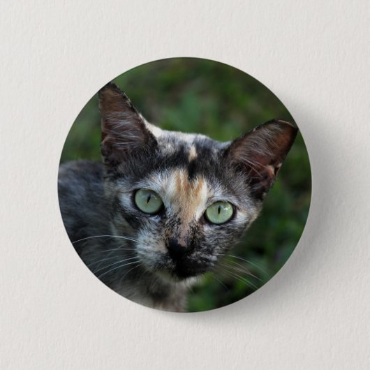 Grijze bruine kat met groene ogen ronde button 5,7 cm (Voorkant)