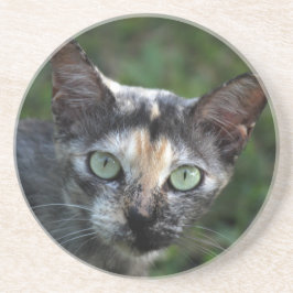 Grijze bruine kat met groene ogen zandsteen onderzetter