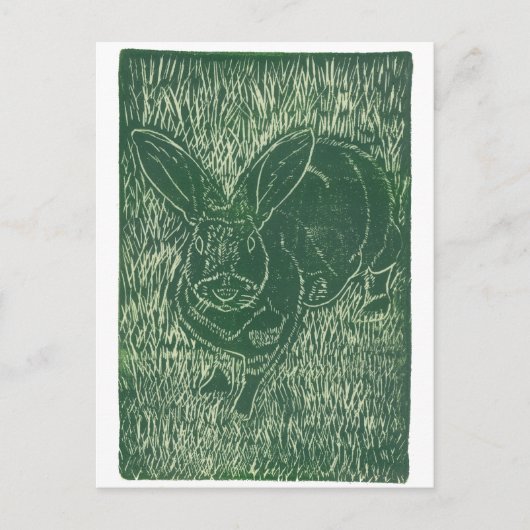 Grijze Bunny Rabbit in het gras Briefkaart (Voorkant)