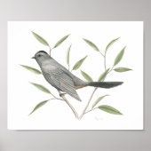 Grijze Catbird Fine Art Print (Voorkant)