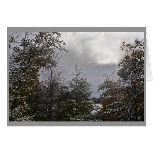 Grijze dagkaart (Voorkant Horizontaal)