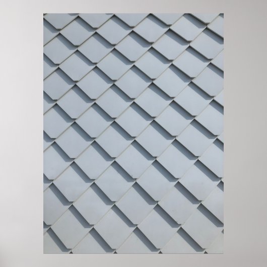 Grijze dakgordels poster (Voorkant)