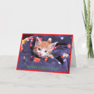 Grijze deken kat vrolijk kerstfeest oranje kitten  feestdagen kaart