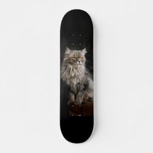Grijze donzige kat persoonlijk skateboard