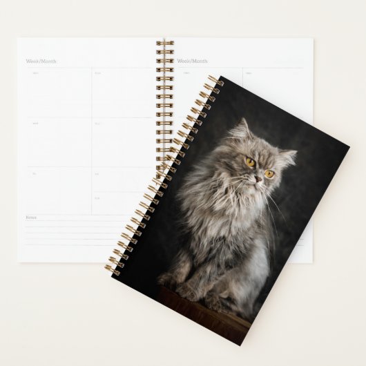 Grijze donzige kat planner (Display)
