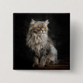 Grijze donzige kat vierkante button 5,1 cm (Voorkant)