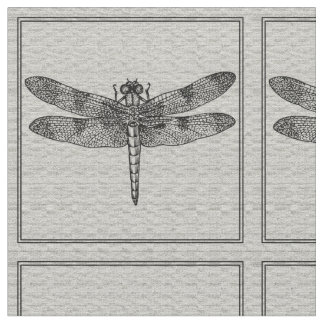 Grijze dragonfly verbinding stof