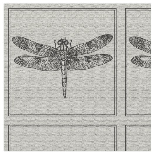 Grijze dragonfly verbinding stof (Close Up)