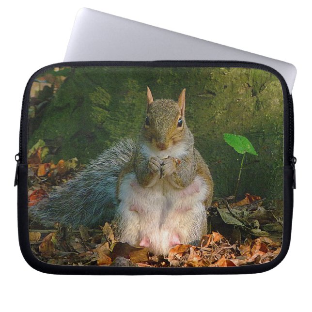 Grijze eekhoorn 01 laptop sleeve (Voorkant)