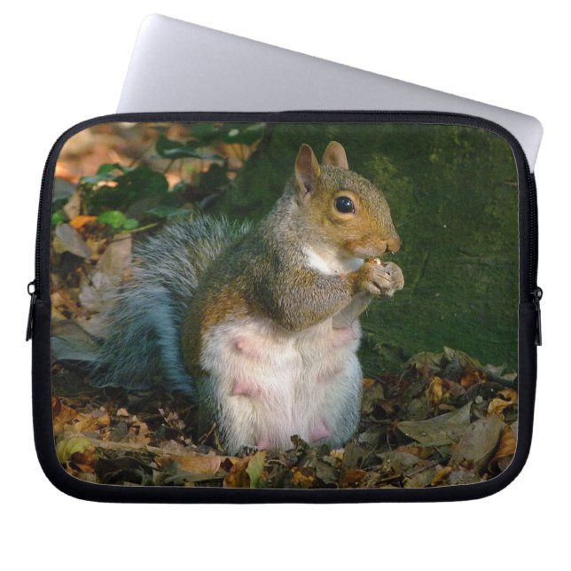 Grijze eekhoorn 02 laptop sleeve (Voorkant)