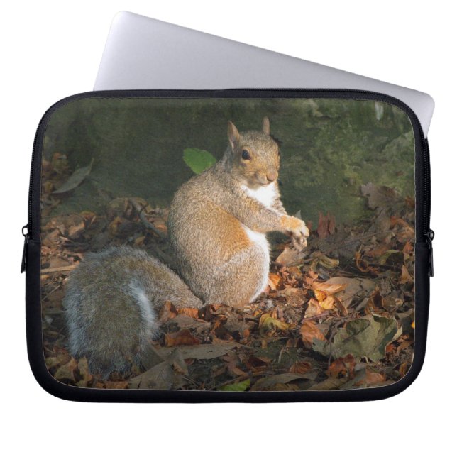 Grijze eekhoorn 03 laptop sleeve (Voorkant)
