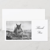 Grijze eekhoorn BW - Dank je Bedankkaart (Voorkant / Achterkant)
