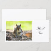 Grijze eekhoorn - Dank je Bedankkaart (Voorkant / Achterkant)