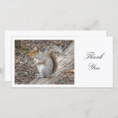 Grijze eekhoorn - Dank je Bedankkaart (Voorkant / Achterkant)
