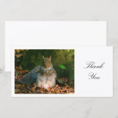 Grijze eekhoorn - Dank je Bedankkaart (Voorkant / Achterkant)