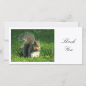 Grijze Eekhoorn - Dank je wel Bedankkaart (Voorkant)