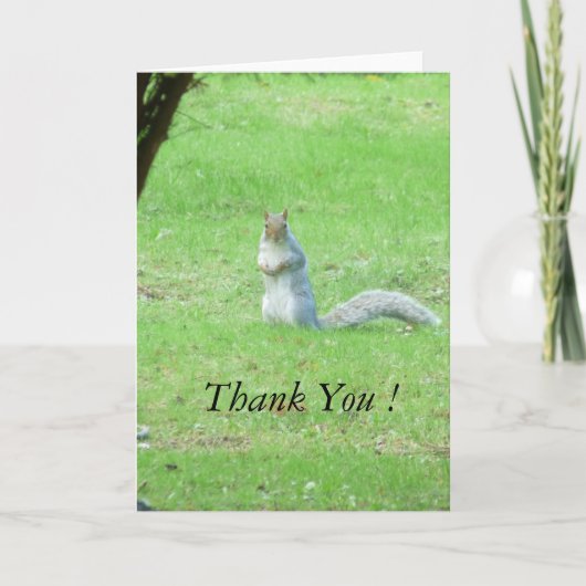 Grijze eekhoorn Dank je wel Bedankkaart (Voorkant)