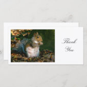 Grijze Eekhoorn - Dank U Bedankkaart (Voorkant / Achterkant)