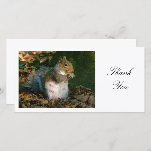 Grijze Eekhoorn - Dank U Bedankkaart (Voorkant / Achterkant)