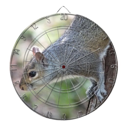 Grijze eekhoorn dartboard dartbord (Voorkant)