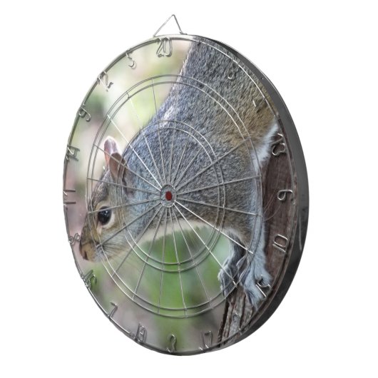 Grijze eekhoorn dartboard dartbord (Voorkant Rechts)