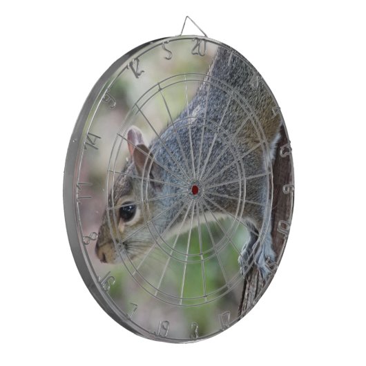 Grijze eekhoorn dartboard dartbord (Voorkant Links)