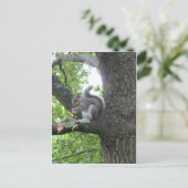 Grijze eekhoorn en moer briefkaart (Staand voorkant)