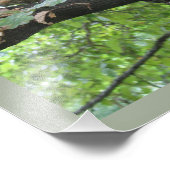 Grijze eekhoorn en moer foto afdruk (Hoek)