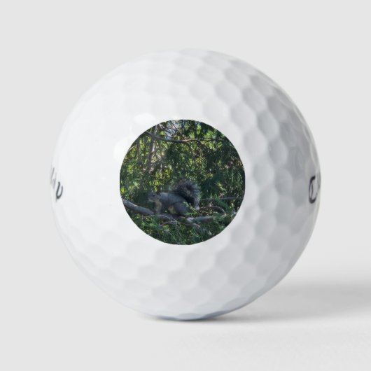 grijze eekhoorn golfballen (Voorkant)