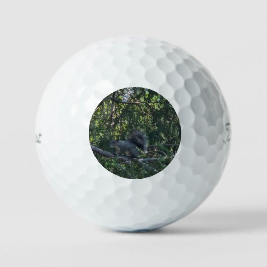 Grijze eekhoorn golfballen (Voorkant)