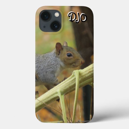 Grijze eekhoorn Hoesje-Mate iPhone Case (Achterkant)