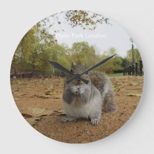 Grijze eekhoorn Hyde Park Londen. Grote Klok