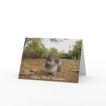 Grijze eekhoorn Hyde Park Londen.