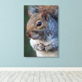 Grijze eekhoorn in canvas print (Insitu (Houten vloer))