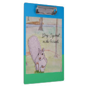 Grijze eekhoorn in het Bos Klembord (Rechts)