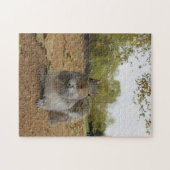 Grijze eekhoorn in Hyde Park Legpuzzel (Horizontaal)