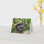 Grijze eekhoorn kaart (Gele Bloem)