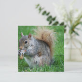 Grijze eekhoorn kaart (Staand voorkant)