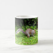 Grijze eekhoorn koffiemok (Center)