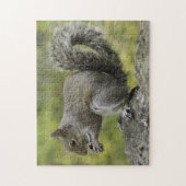 Grijze eekhoorn legpuzzel (Verticaal)