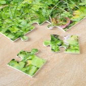 Grijze eekhoorn legpuzzel (Zijkant)