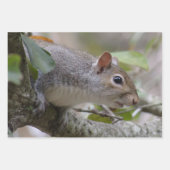 Grijze eekhoorn Let op Inpakpapier Vel (Voorkant)