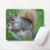 Grijze eekhoorn Muismat (Met muis)