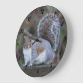 Grijze eekhoorn op grote grote klok (Hoek)