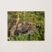 Grijze eekhoorn Puzzle/Jigzaag met tin Legpuzzel (Horizontaal)