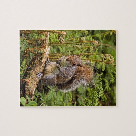Grijze eekhoorn Puzzle/Jigzaag met tin Legpuzzel (Horizontaal)